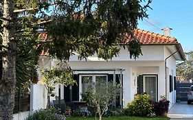 Casa Das Camelias